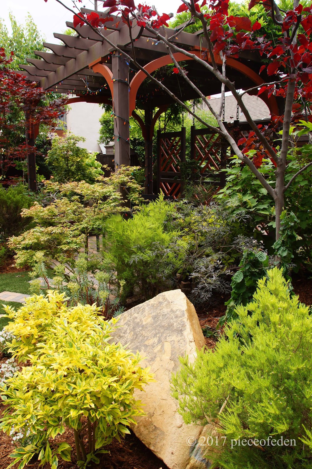 Beautiful California Garden #3