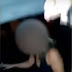 Marido flagra traição da esposa com "Urso" e vídeo viraliza na internet