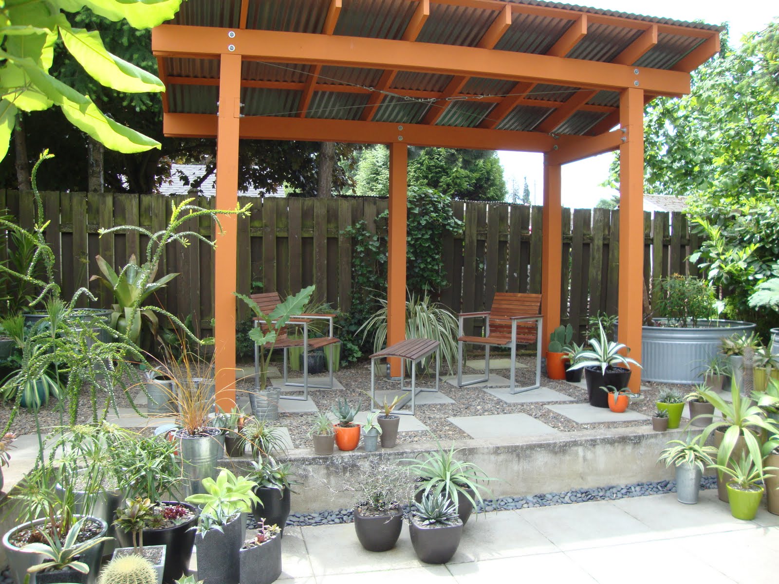 danger garden: Overwintering follow-up report danger garden: Overwintering follow-up report on Shade Ideas For Backyard id=96946