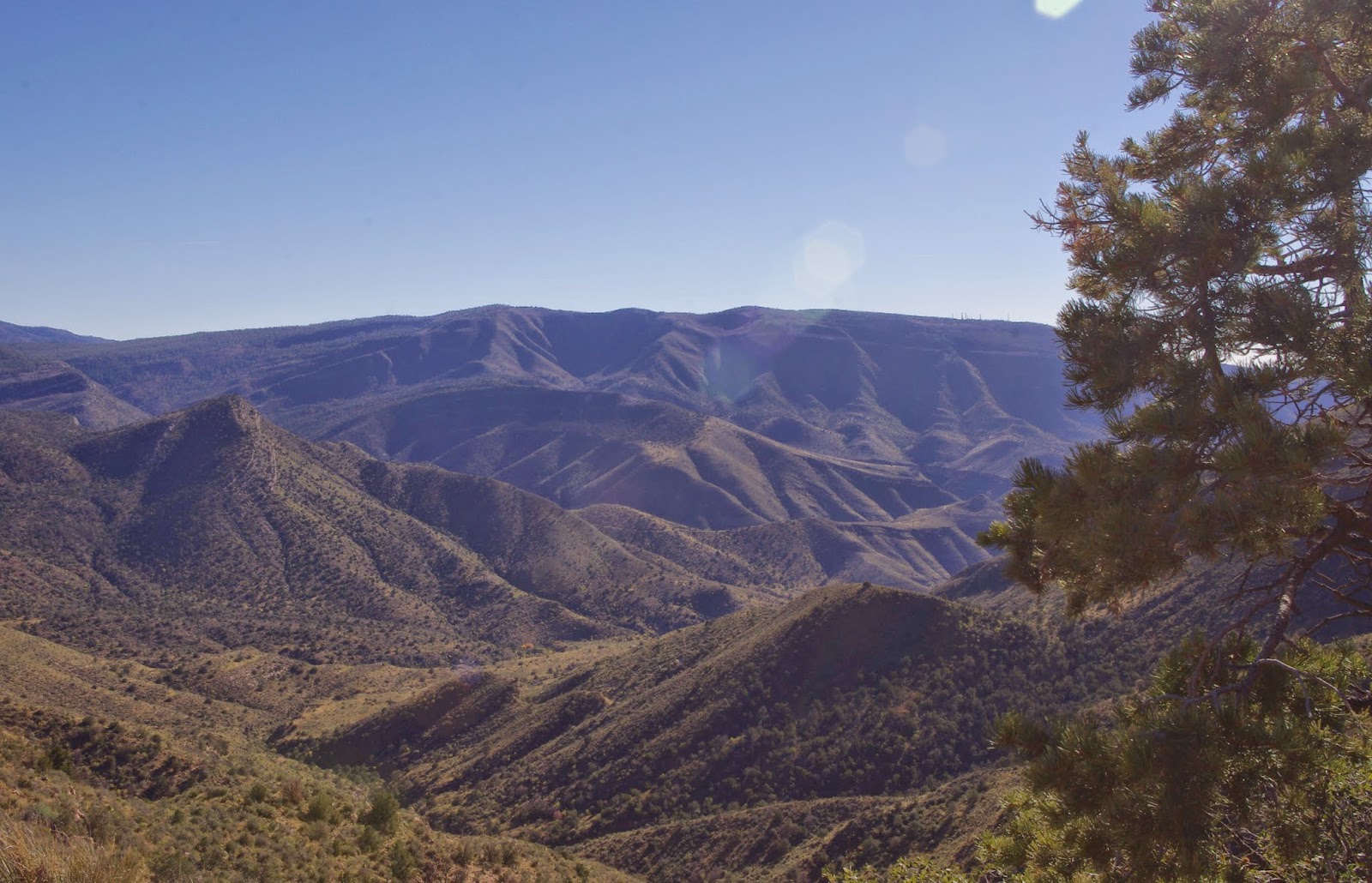 Southern New Mexico Explorer "A" Trail ( FT 119) Lincoln National Forest
