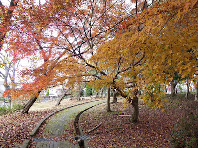 王仁公園・秋の紅葉ウォーキング