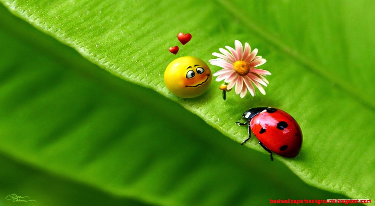 3D Backgrounds For Computer Free  Free HD Wallpapers