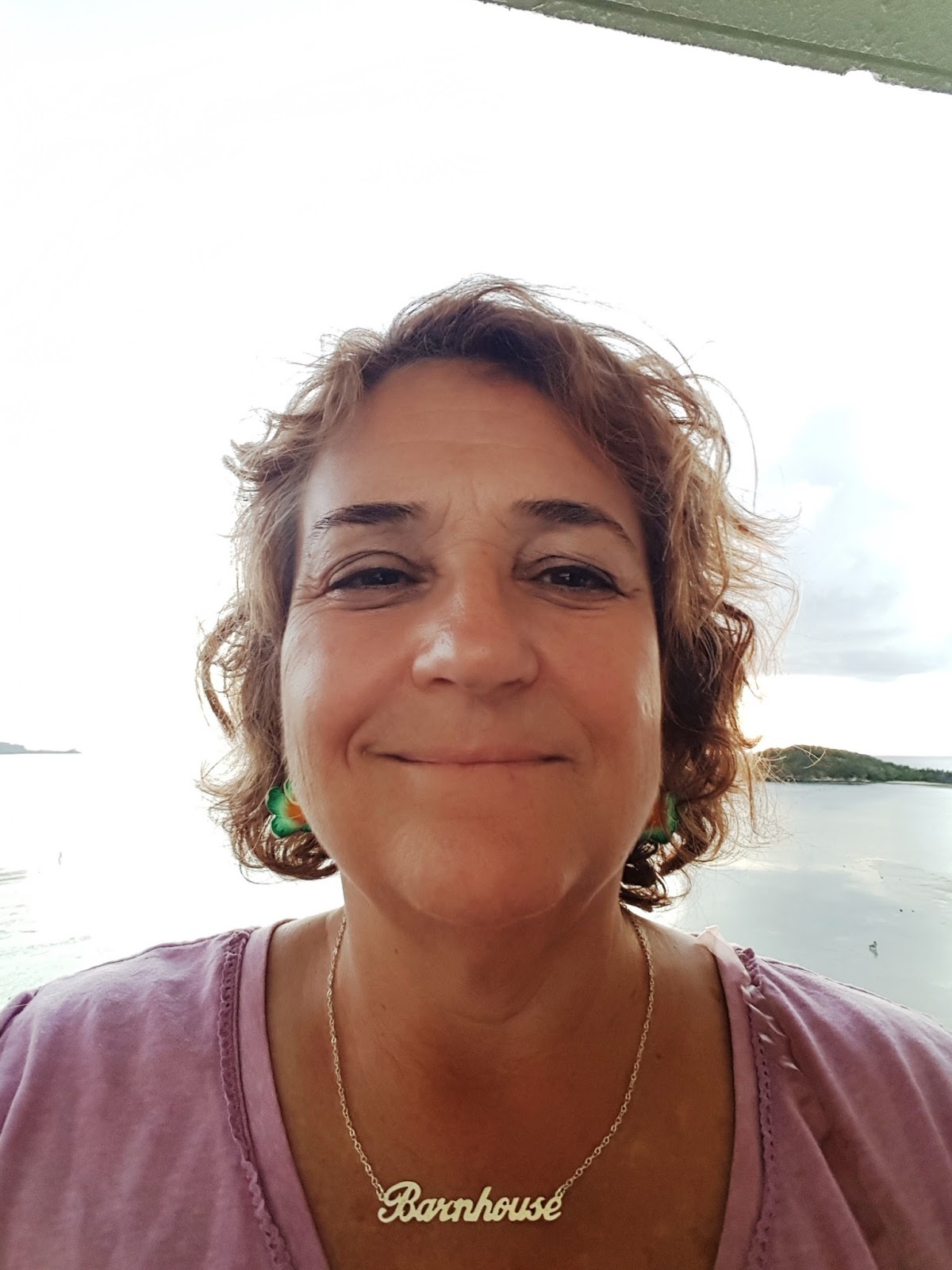 Business Counseling And Training Pacific Islands Small Business business-counseling-and-training-pacific-islands-small-business