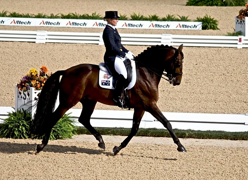 Do Horses Neigh When They Run? Why do some horses hold their head