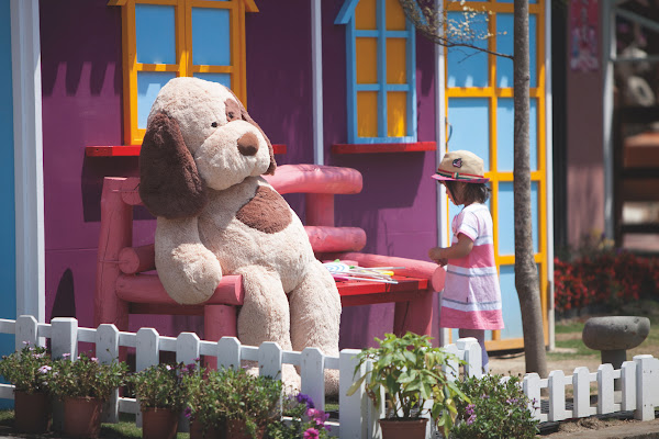 今夜星辰休閒農場1 今夜星辰休閒農場1