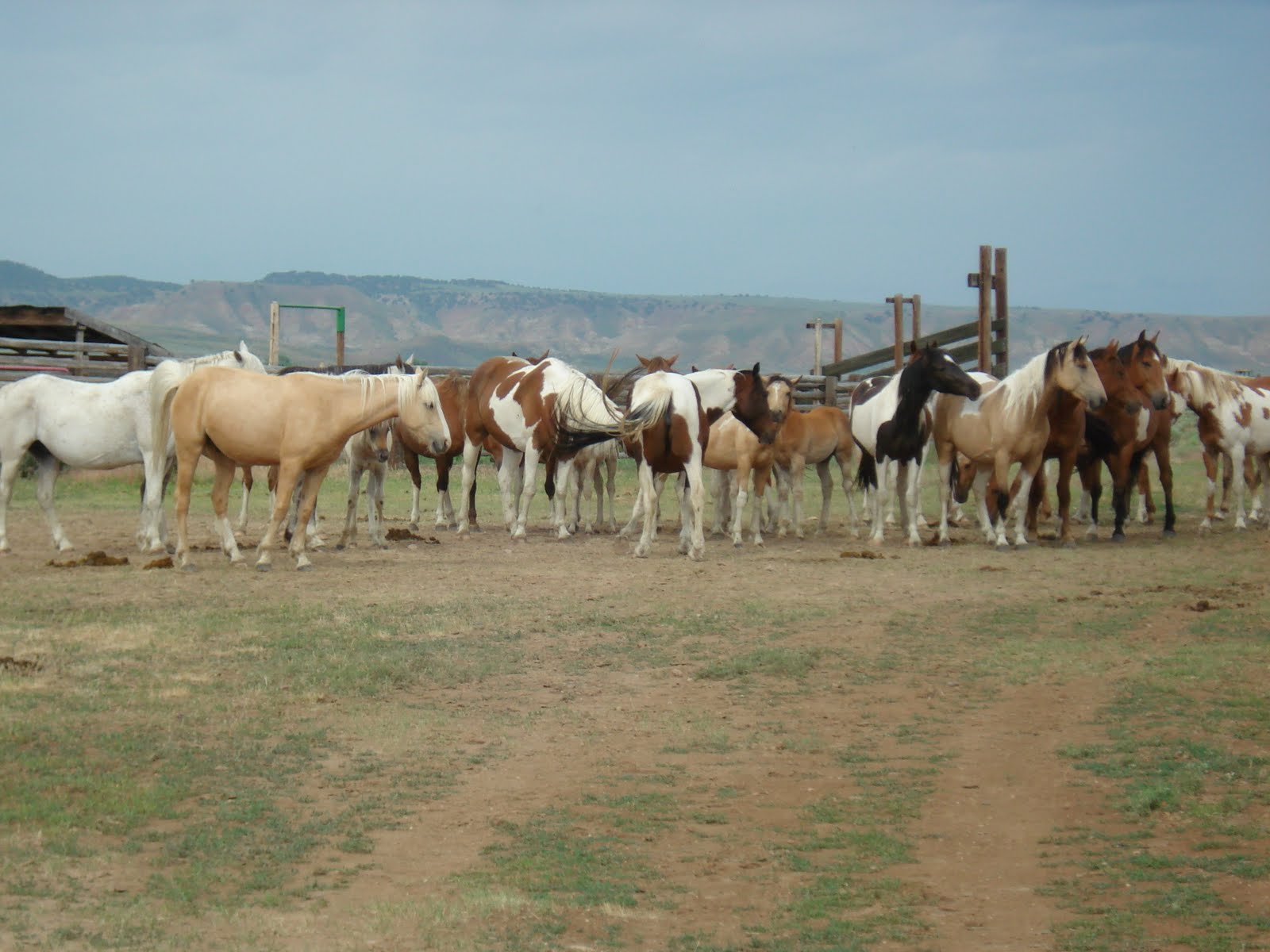FARMGIRLS ON THE LOOSE - ROAD TRIP: Pilgrim Ranch in Baggs to Green ...