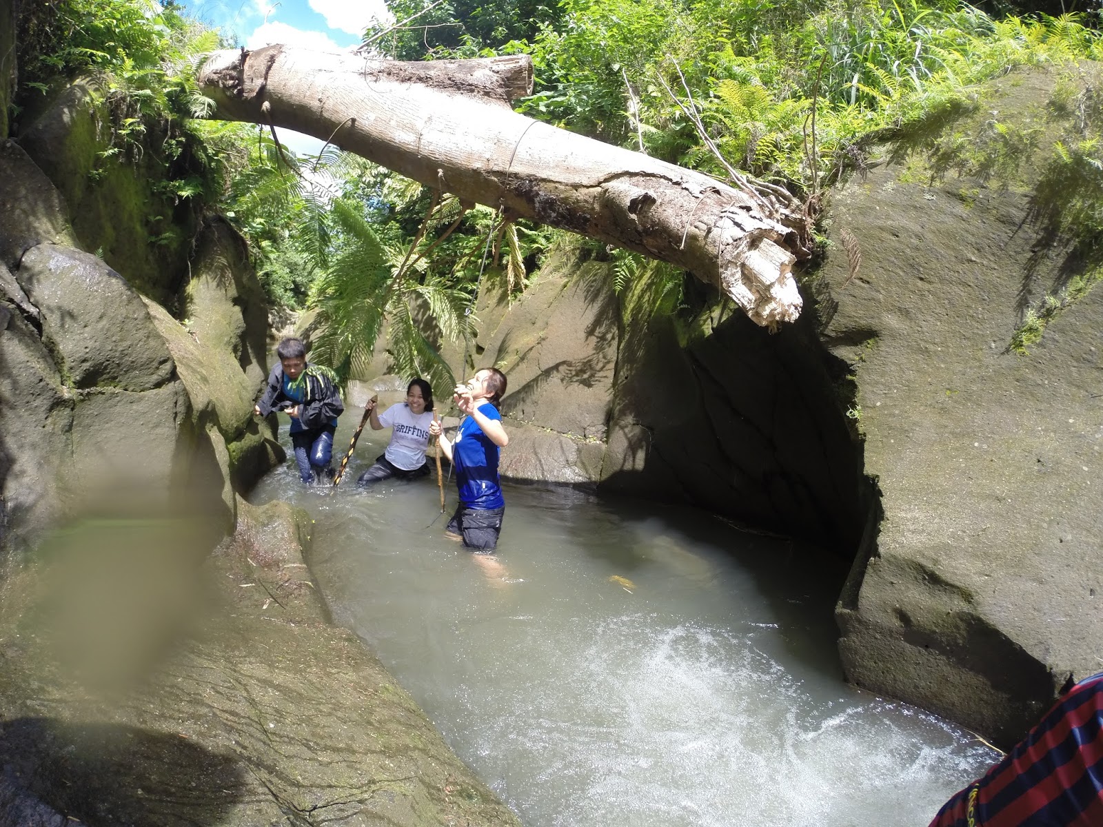 School Librarian in Action: Trekking Down the Ravine and Up the Stream