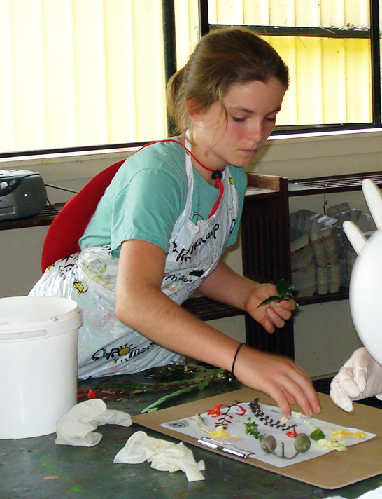 Virtual Treeline Treeline 2012 Kicks Off at River School Maleny