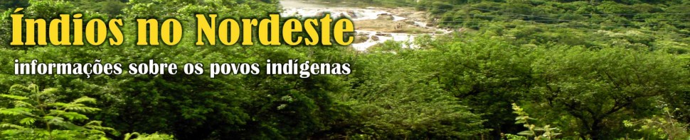 BLOG: ÍNDIOS NO NORDESTE