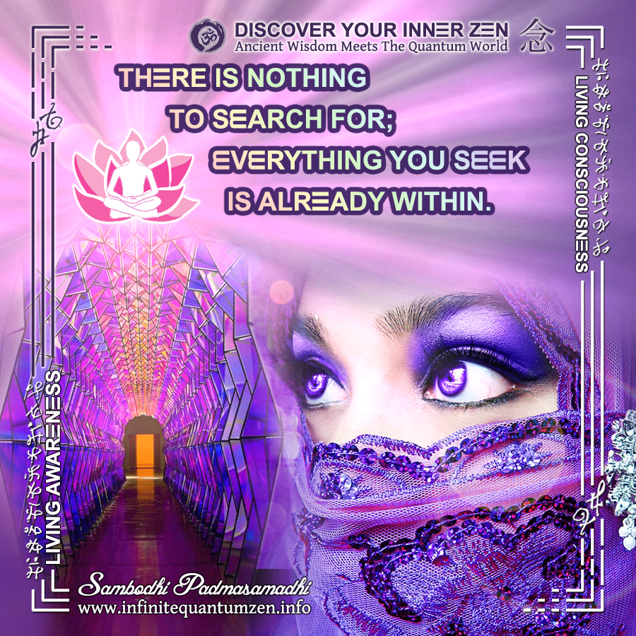 There is nothing to search for, everything you seek is already within - Infinite Quantum Zen, Success Life Quotes