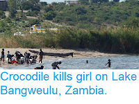 https://sciencythoughts.blogspot.com/2018/12/crocodile-kills-girl-on-lake-bangweulu.html