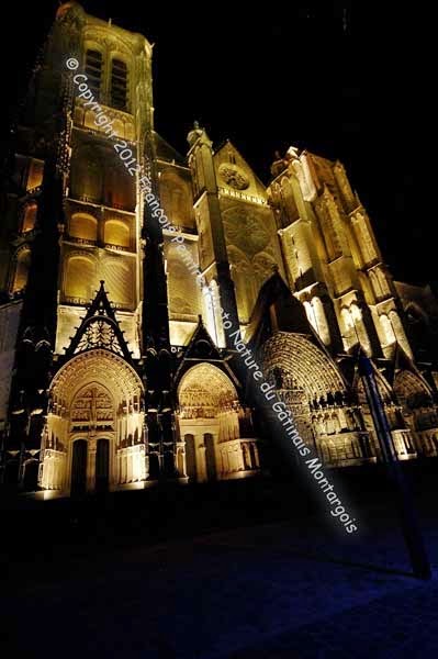 vue nocturne de la cathédrale de Bourges