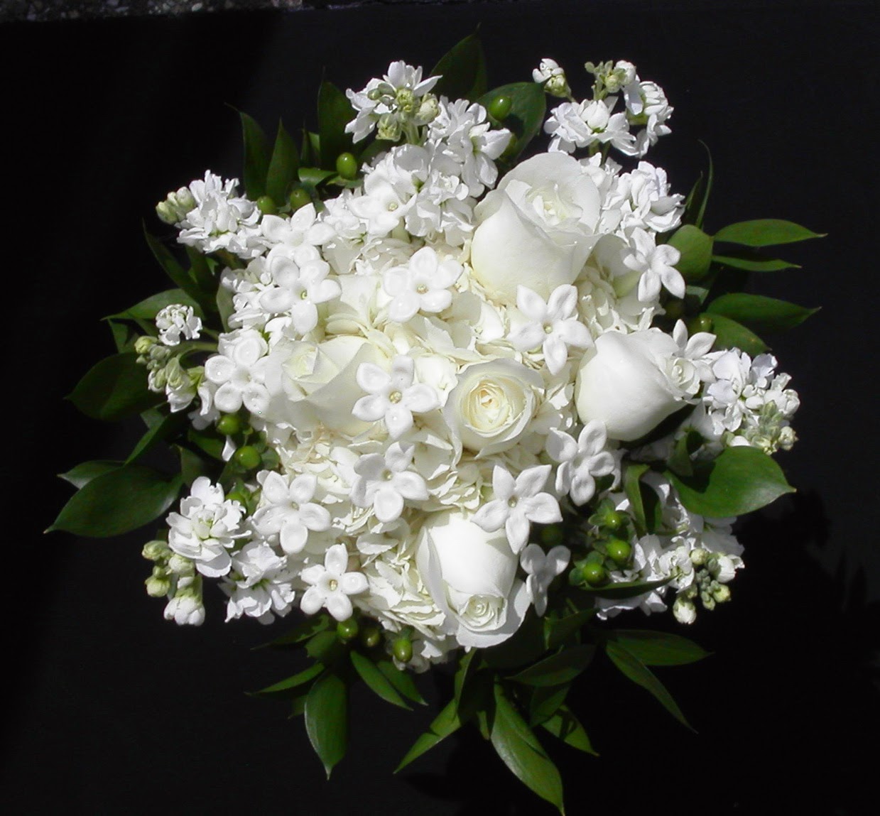 Kumpulan Gambar Bunga Mawar Putih yang Cantik Indah Blog 