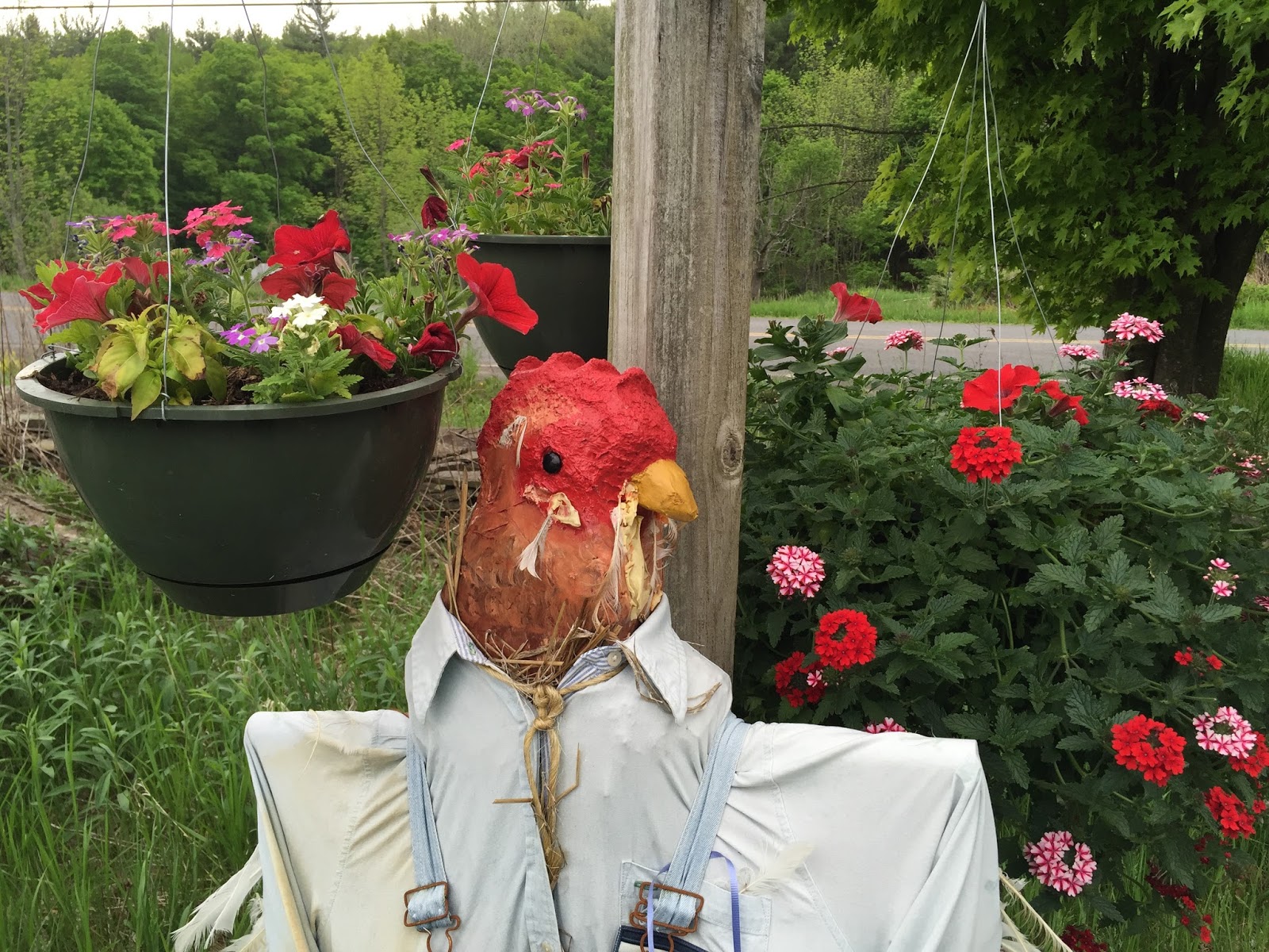 Cotton Hill Creamery