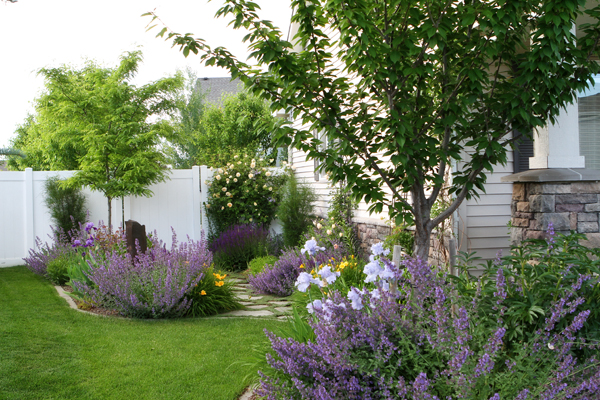 Vw Garden Deer Resistant Perennials For Spokane Zone 5 Since Many Of My Friends Around Here Live With Deer In Their Yards I M Posting About Resistant Perennials For Zone 5 Today