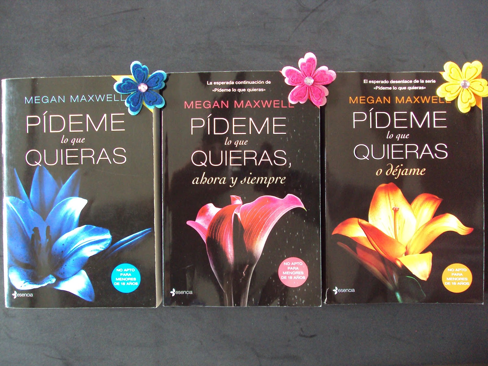 Pideme lo que quieras saga