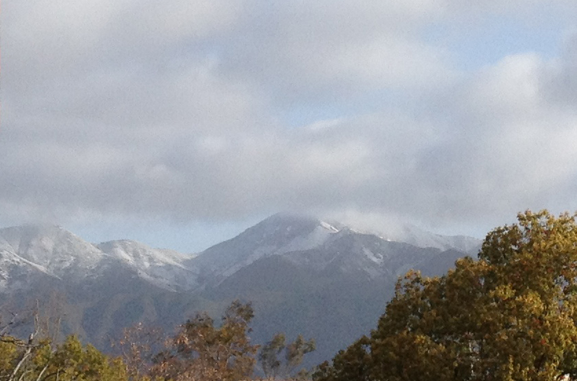 Orange County Squeezed Cold Enough For You orange-county-squeezed-cold-enough-for-you