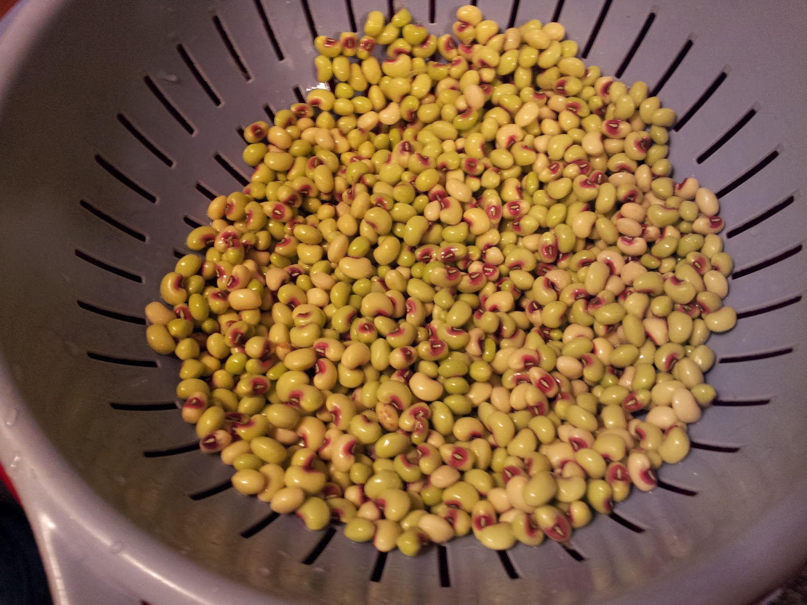 Muddling Through Pink Eyed Purple Hull Peas