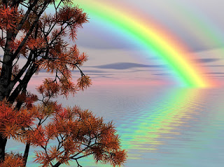A rainbow over a pond. There is a tree in the foreground.