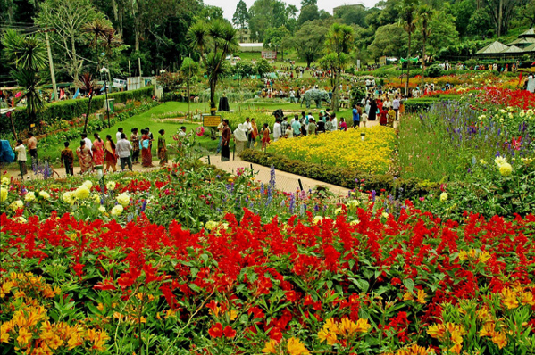 World Tour And Travel Guide Tourist Attractions In Kodaikanal