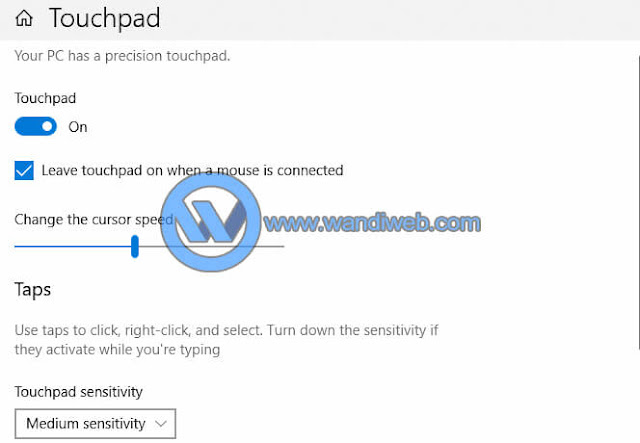 Cara Memperbaiki Touchpad Laptop Tidak Berfungsi - WandiWeb
