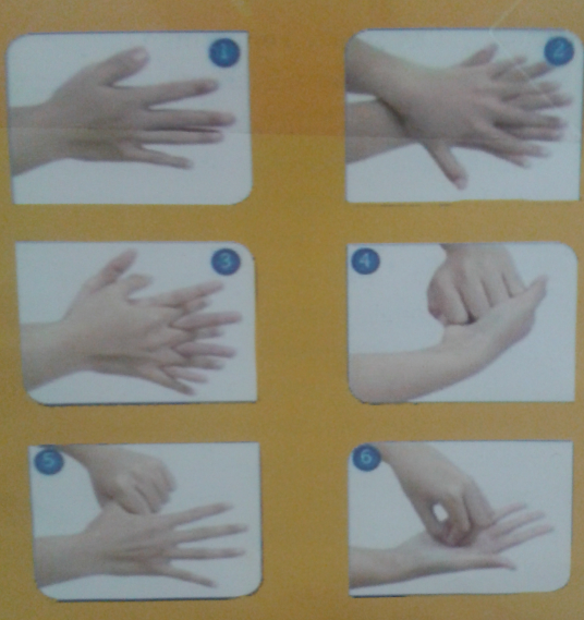 6 Langkah Cuci Tangan Hand Hygine 5 Momen Dirumah Sakit