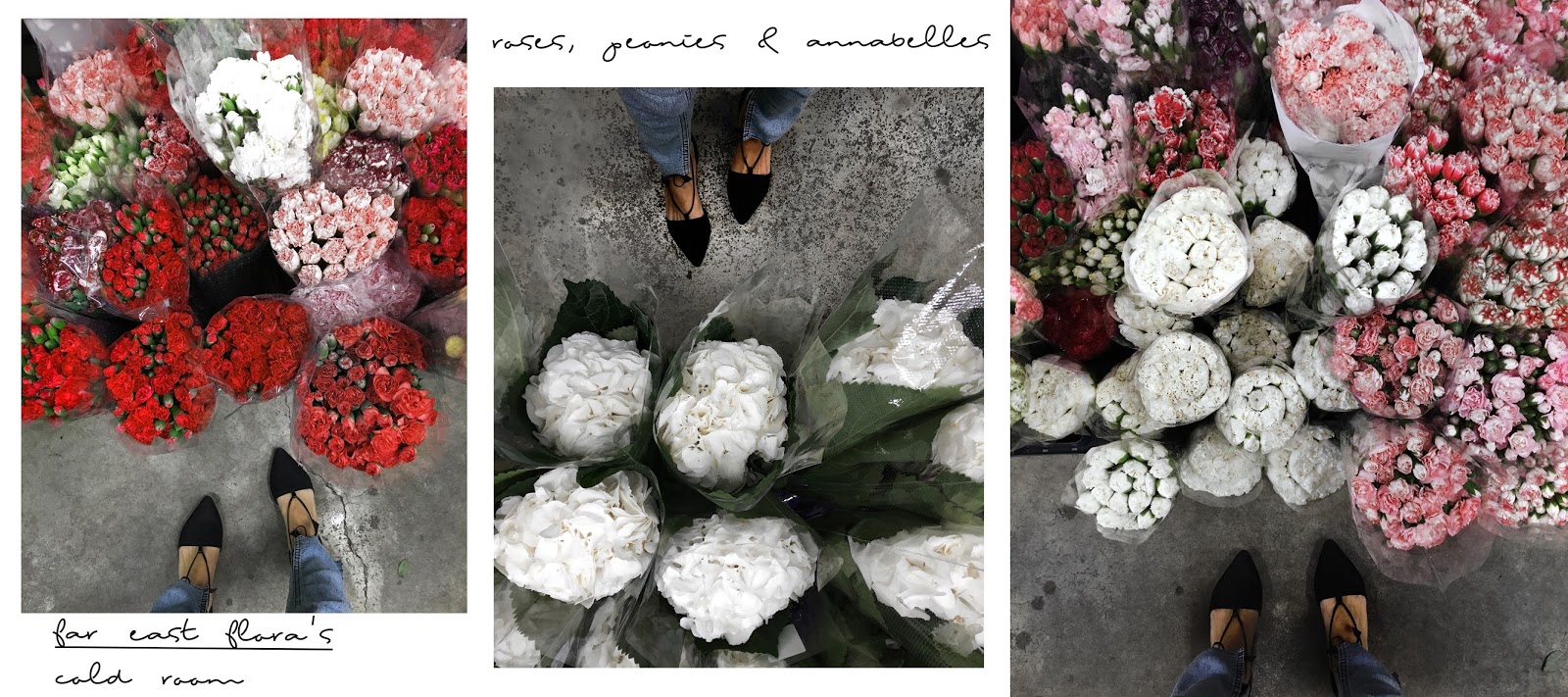 ☃ Where to get fresh cut flowers in Singapore