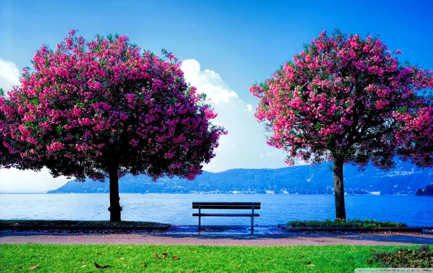 Wallpaper Hd Nature Spring Hd  View Wallpapers