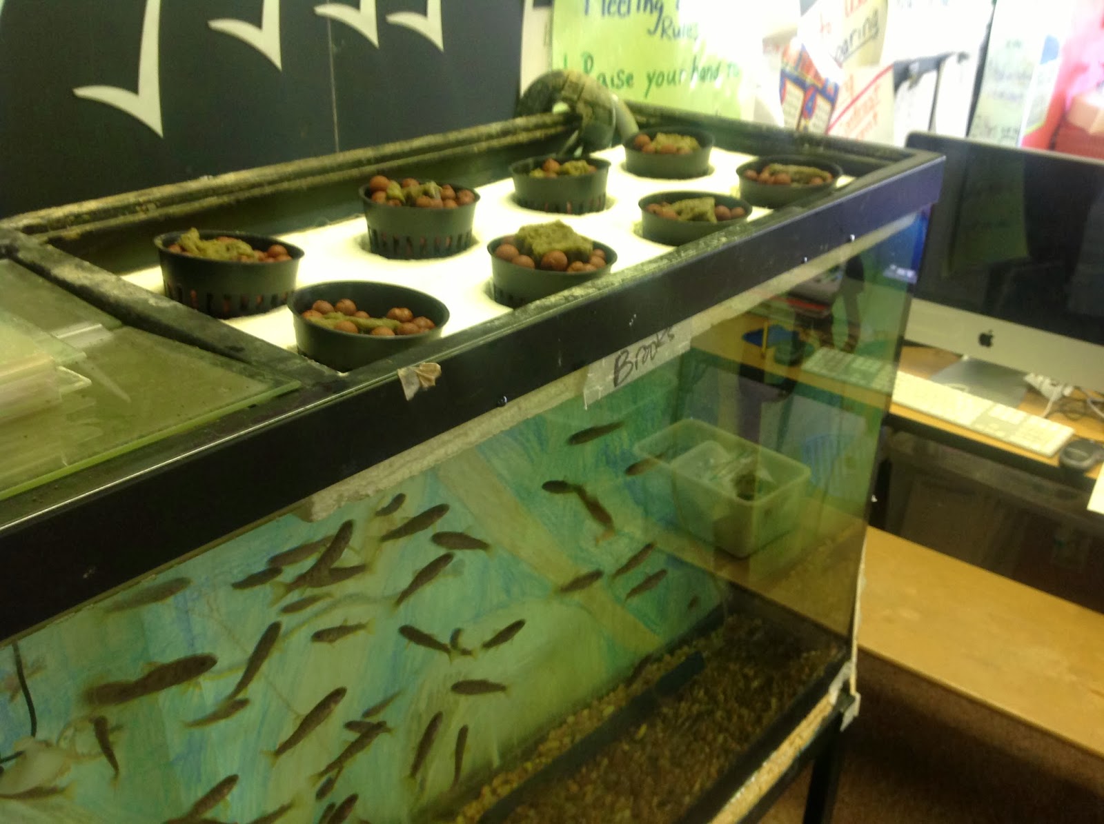 Finger Lakes TROUT In The Classroom For Teachers