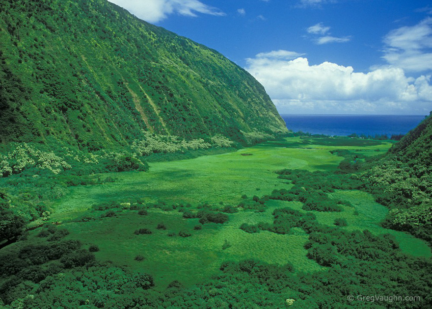 Waimanu Valley Hawaii Only Photos | Travel And Tourism
