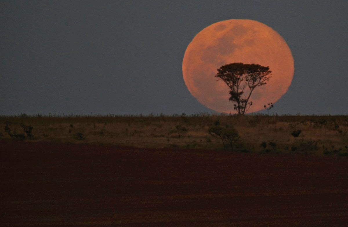 Луна в австралии