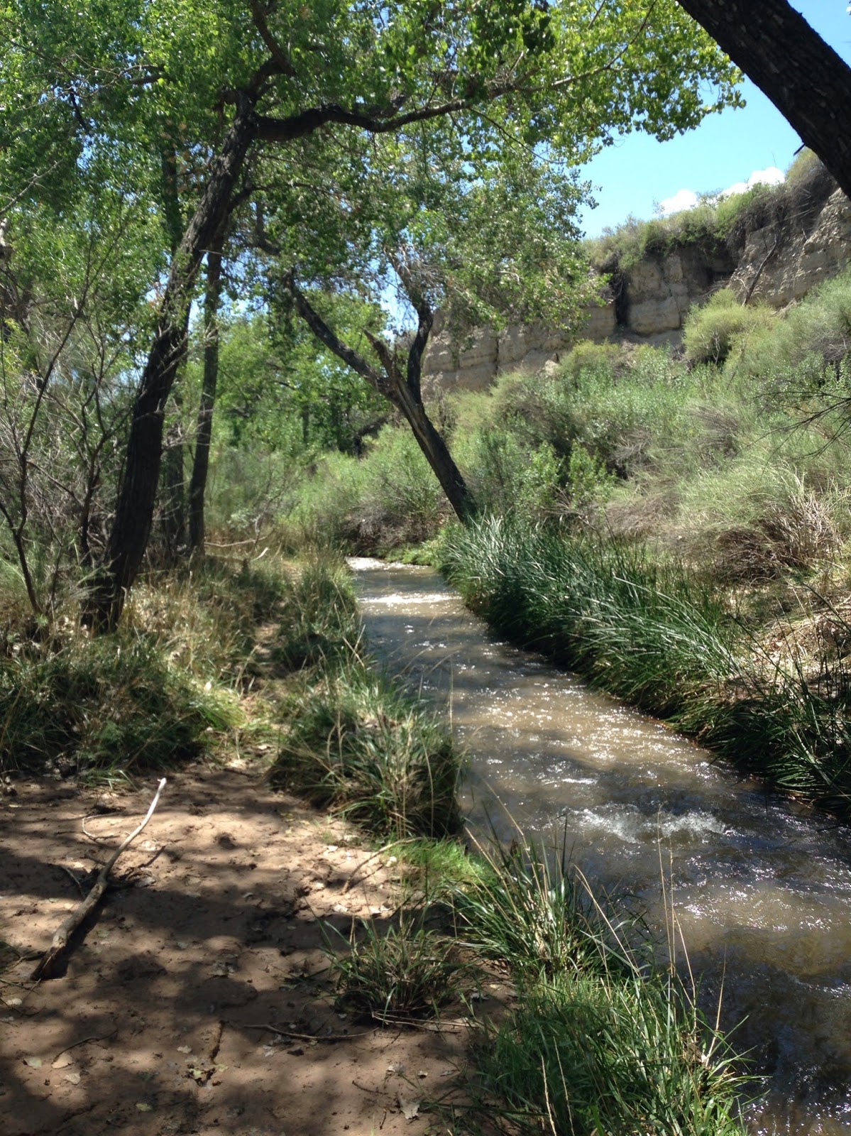 Southern New Mexico Explorer Rio Ruidoso, Tularosa Creek