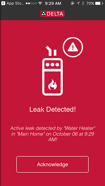 Delta Leak Detector Review