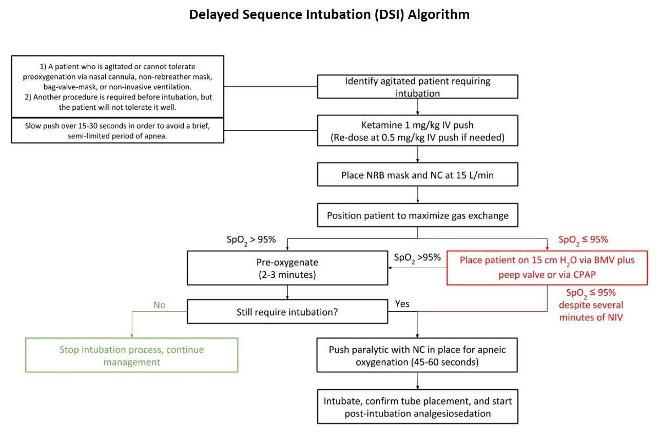 rapid sequence intubation guidelines 2013 rapid sequence intubation guidelines 2013