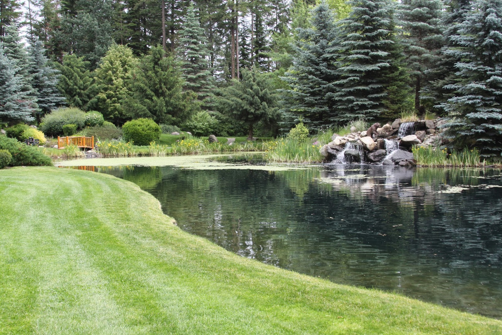 July 6 column Coeur d'Alene Garden tour Susan's in the Garden