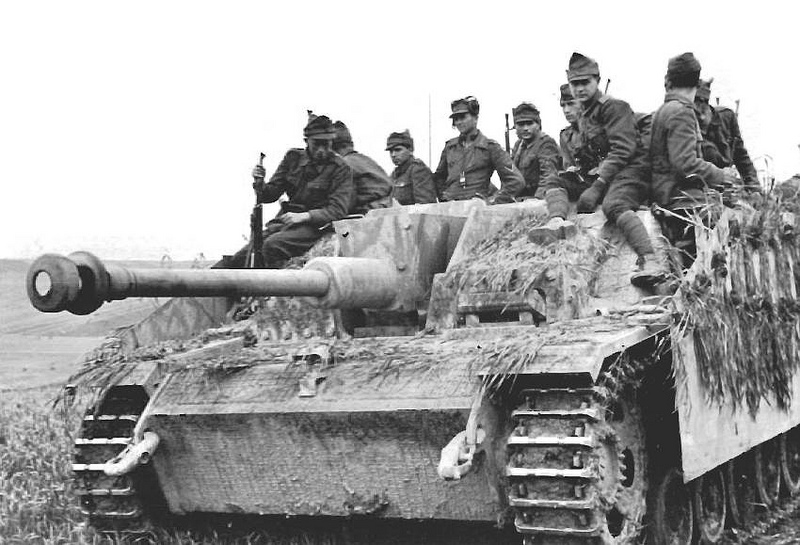 Armour force / Panssaroitu voima : Hungarian role, part-2