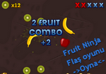 fruit ninja oyunu pc