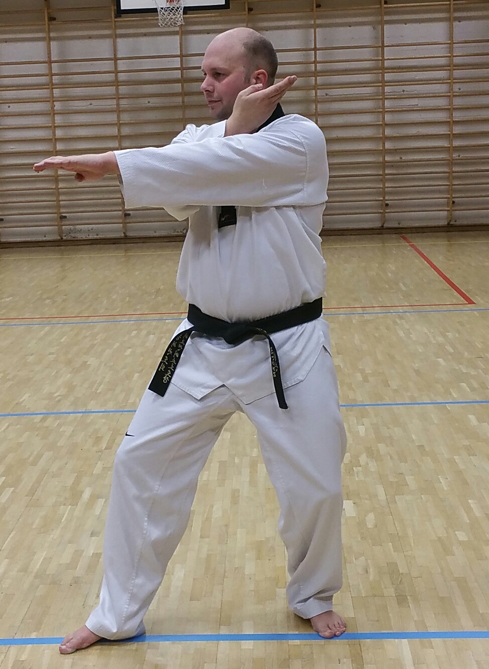 Traditional Taekwondo Ramblings The ABC's Of Practical Poomsae