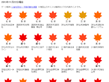   根據 tenki 的京都紅葉情報，直至 11 月 24 日為止，京都 45 個紅葉名所之中，大約 93% 已經達至紅葉見頃的程度，不過背包豬統計 2012 年及 2013 年 tenki 的京都紅葉情報，今年部份紅葉名所的紅葉日是較 2012 年遲，所以 12 月還是有機會賞...