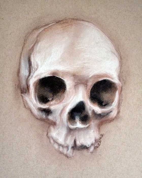 "Skull" by Celene Petrulak 2014