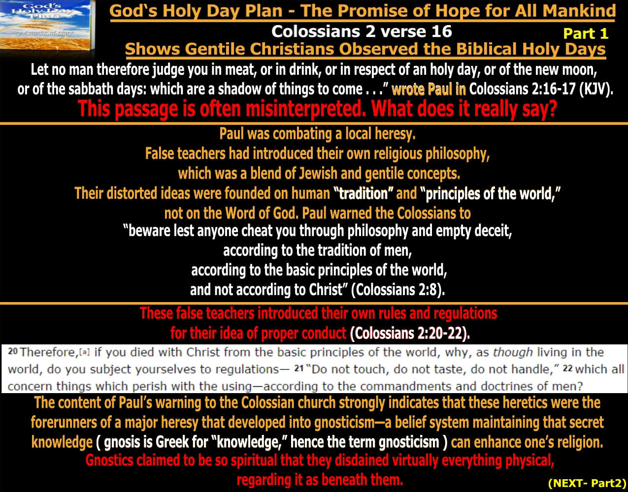 They follow the Lamb wherever He goes How Should We Observe God's