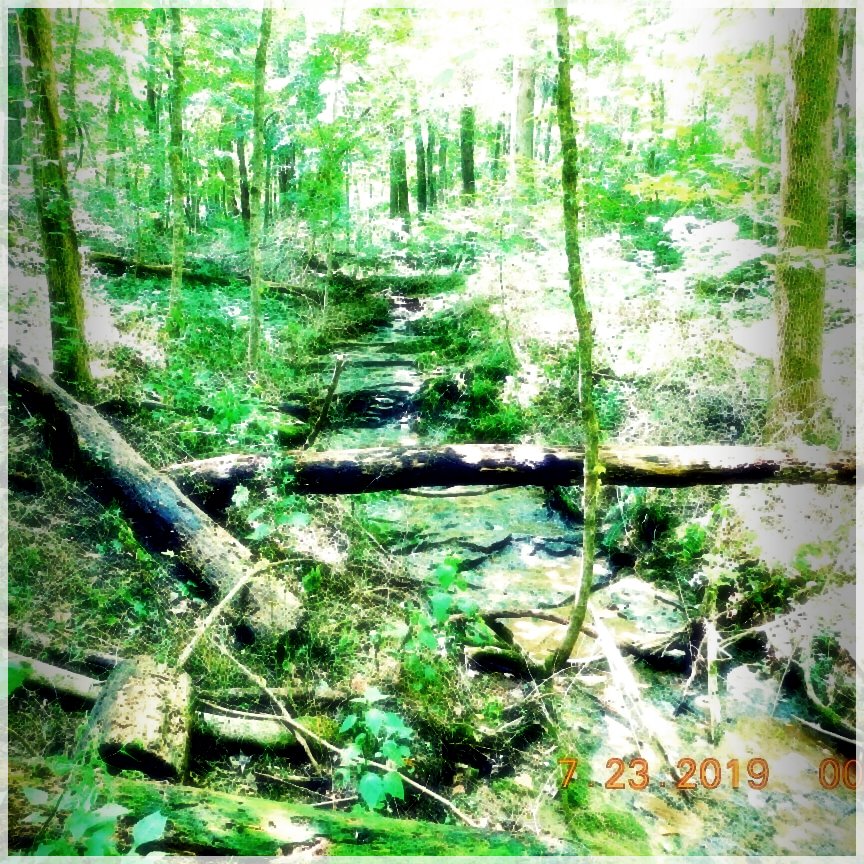 HikingTrails-93905049936