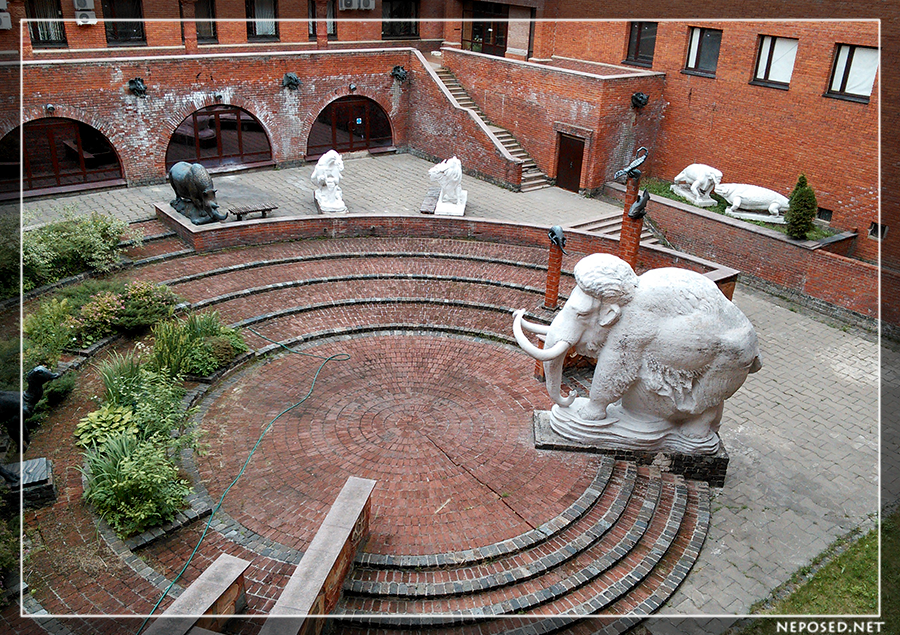 Палеонтологический музей