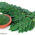 Amazing Benefits of Moringa and Side Effects in Fertility