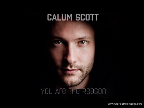 Lirik Lagu Calum Scott - Cause You're The Reason dan Terjemahan Bahasa
