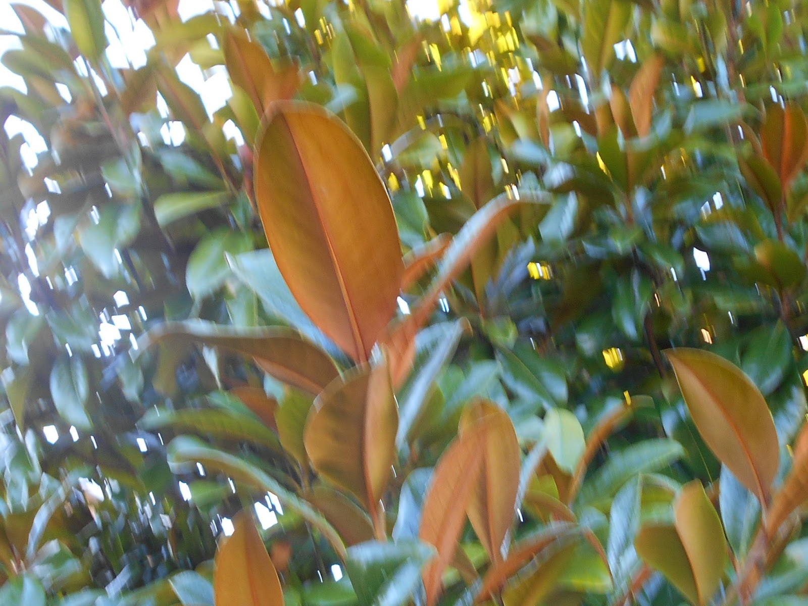 Tony S Blog November 2017