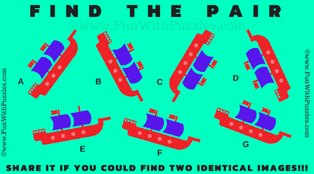 Spot the Match: Pair Image Brain Teaser Challenge