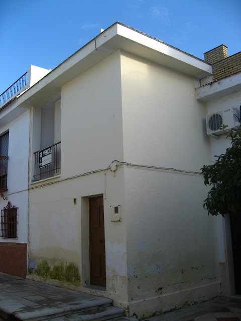 Ladrillos y Buganvillas: febrero 2011