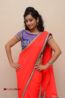 Actress Tejaswini Pictures in Saree at Pratikshanam Audio Launch  0049