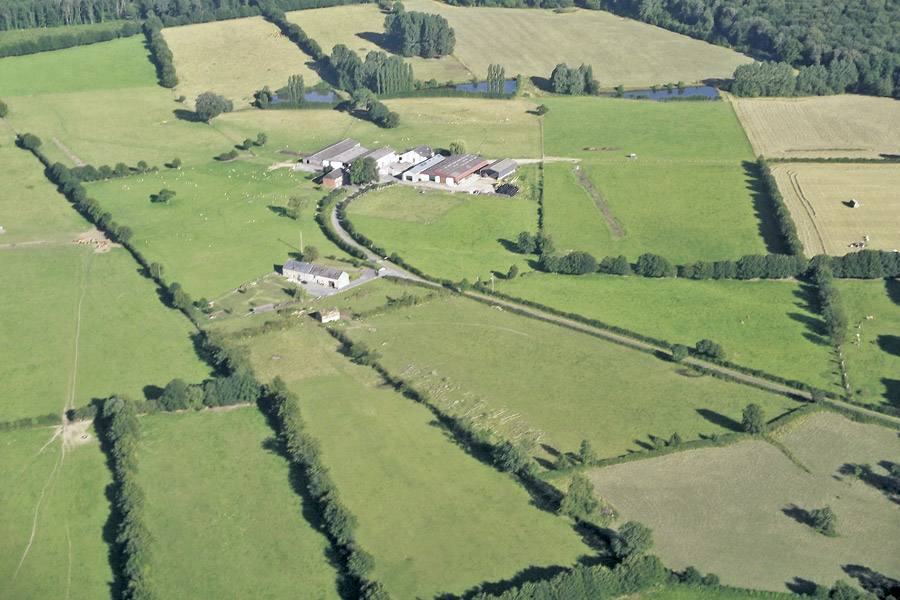 Garófano Geografía 3º Tema 5 La Agricultura, ganadería, pesca y